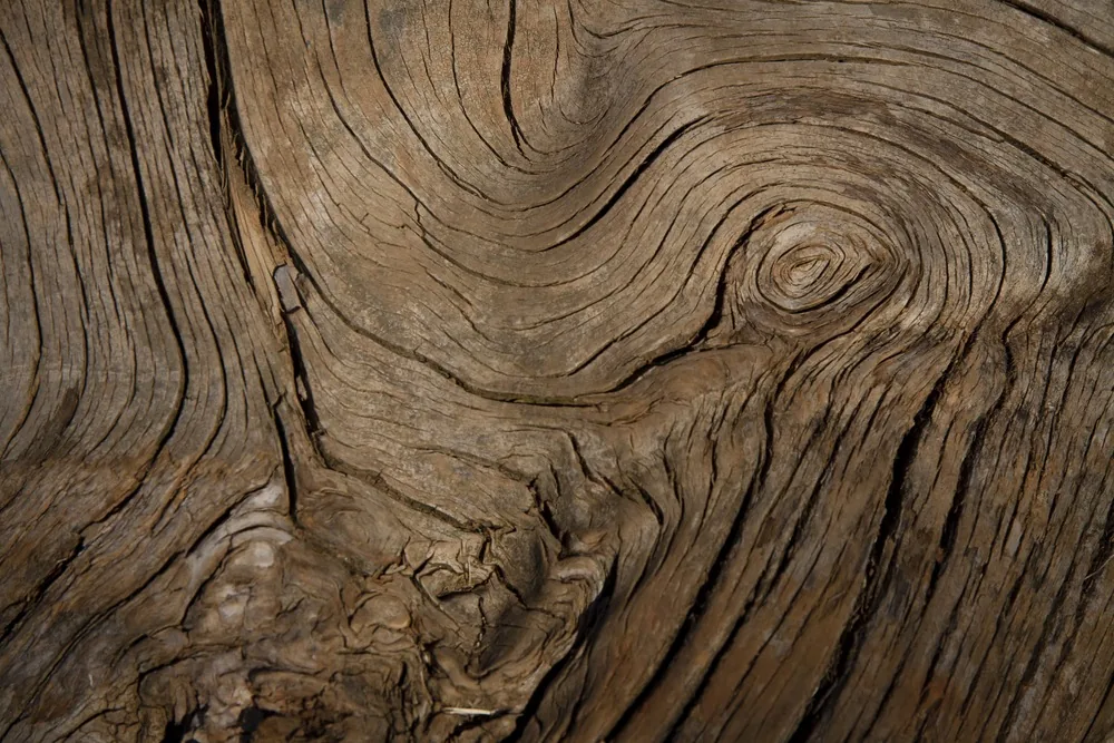 Nœud et fibres de bois ancien