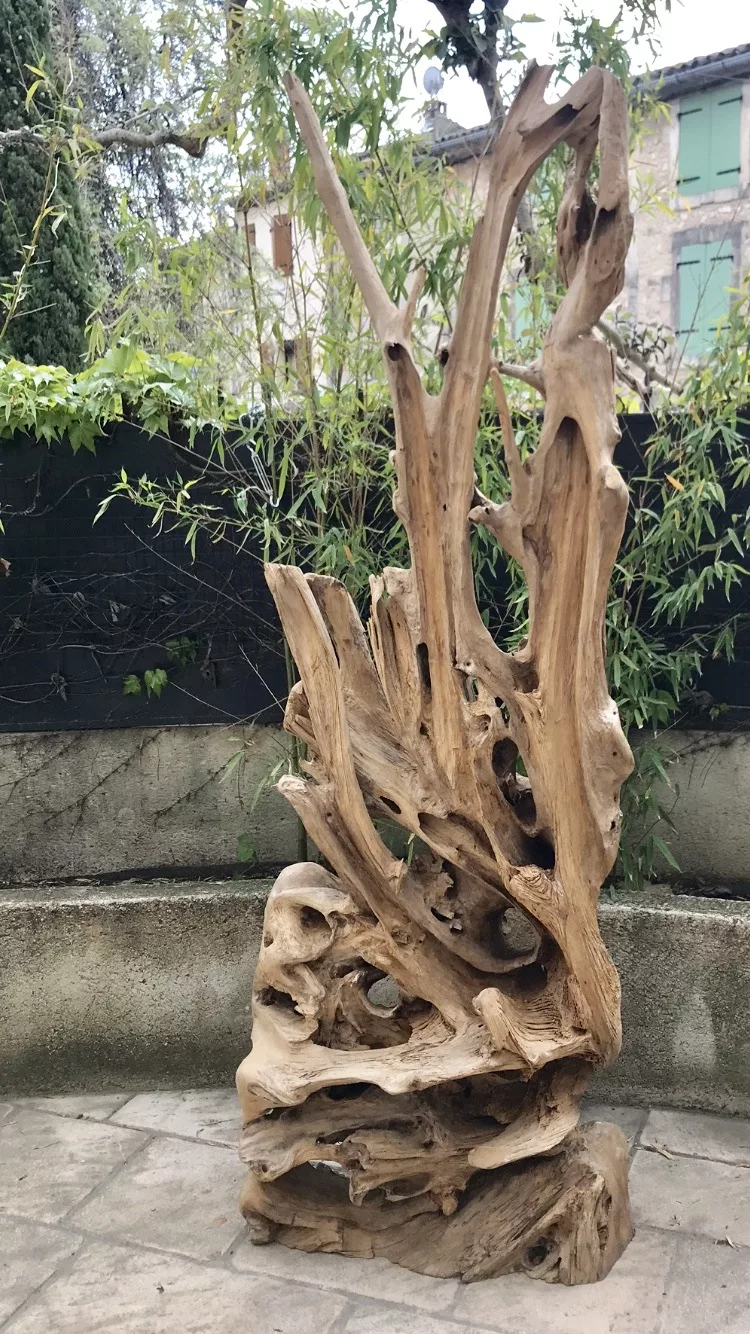 Teak root piece in a garden